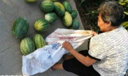 应城吃瓜最新事件爆料,揭秘背后惊人真相